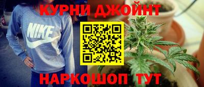 прущие грибы Краснознаменск