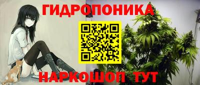 прущие грибы Краснознаменск