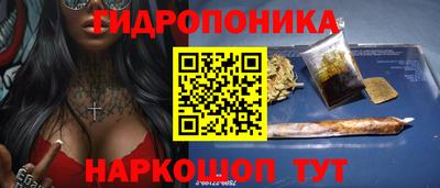 прущие грибы Краснознаменск