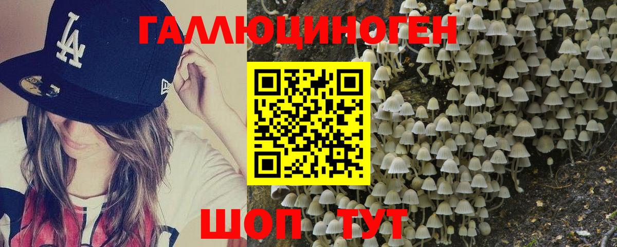 Кимры  Псилоцибиновые грибы GOLDEN TEACHER  Вход с VPN  Псилоцибиновые грибы Cubensis 